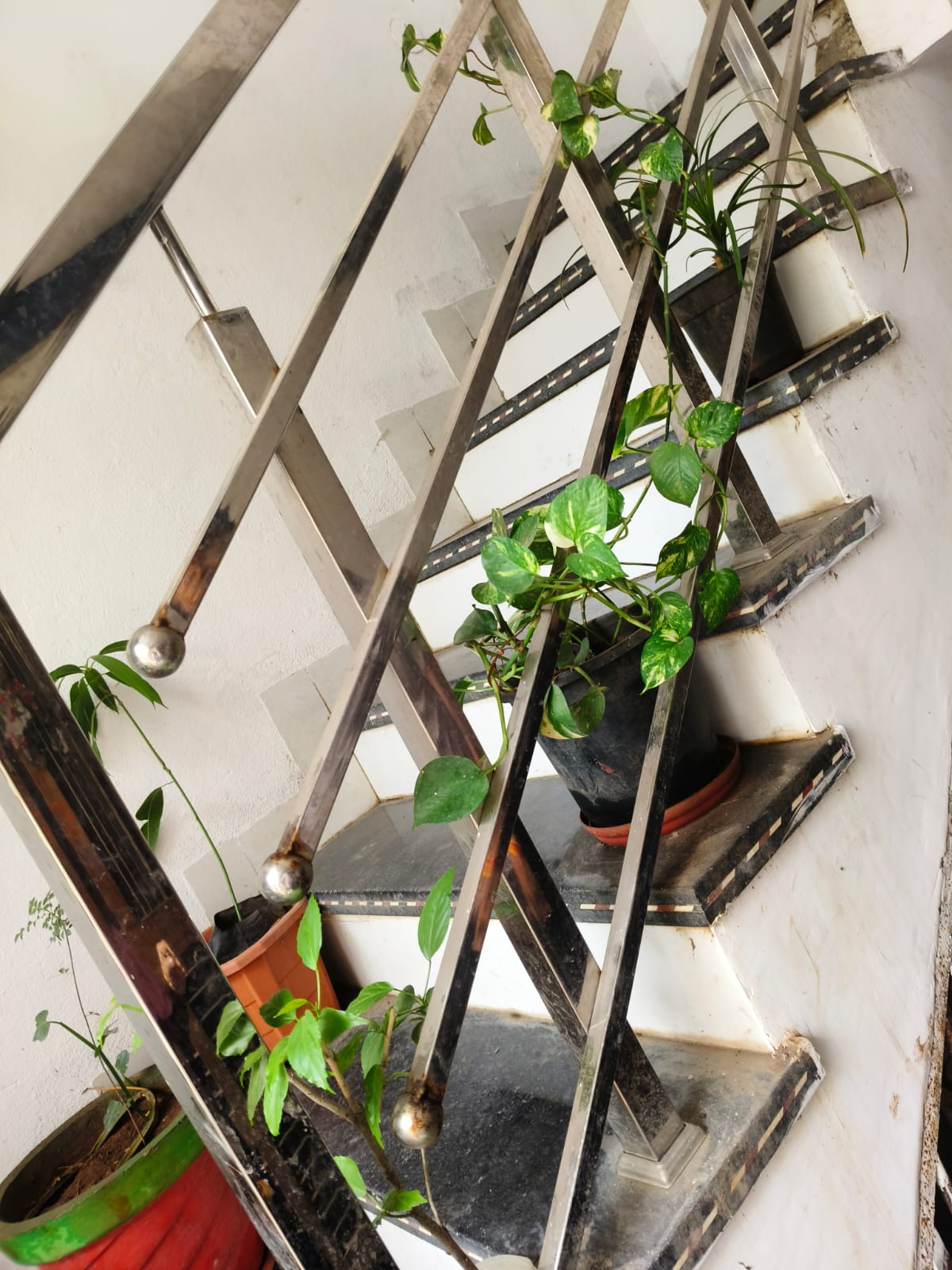 Gallery Image 8